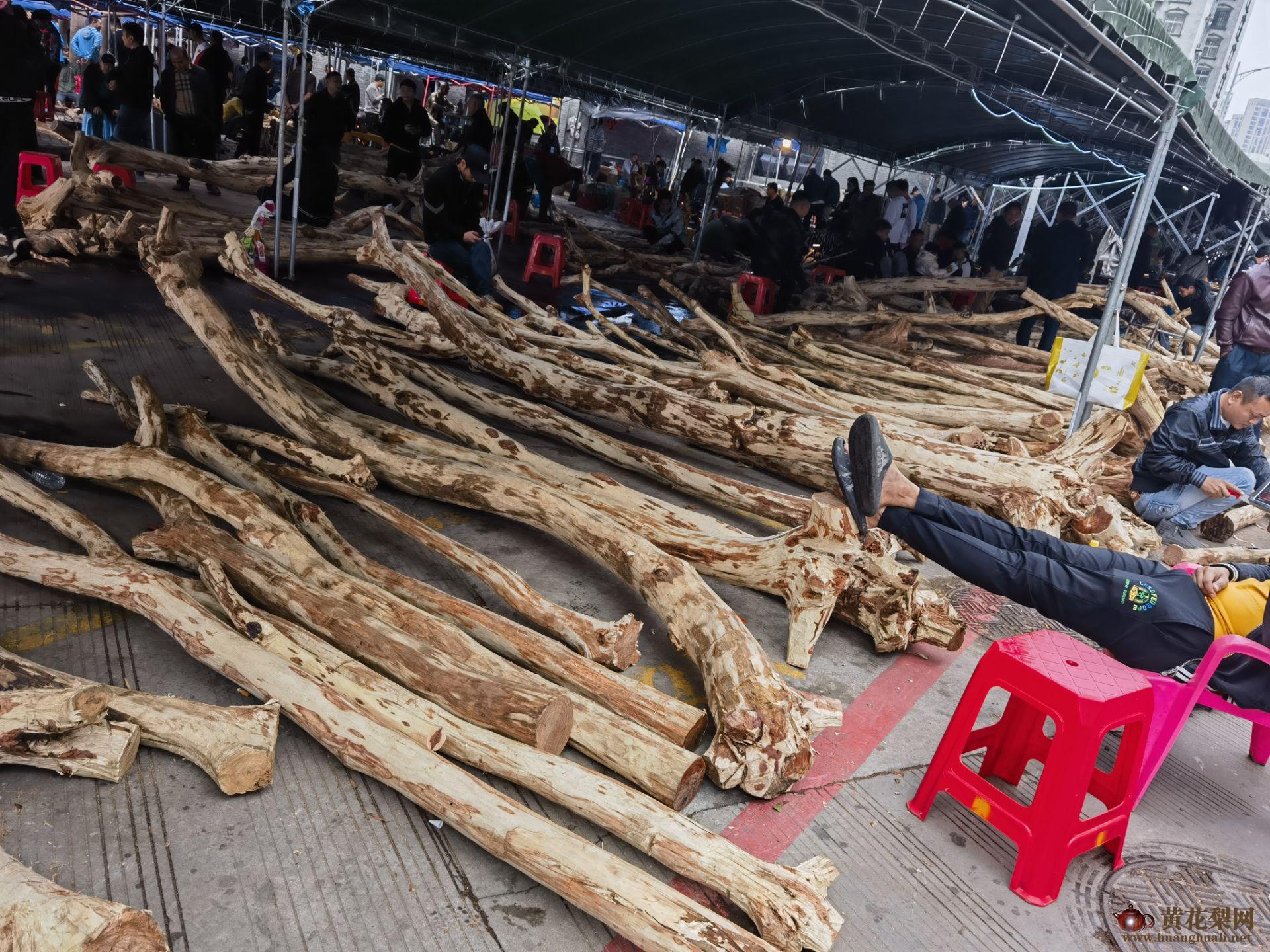 海南黄花梨市场上的海南黄花梨新料